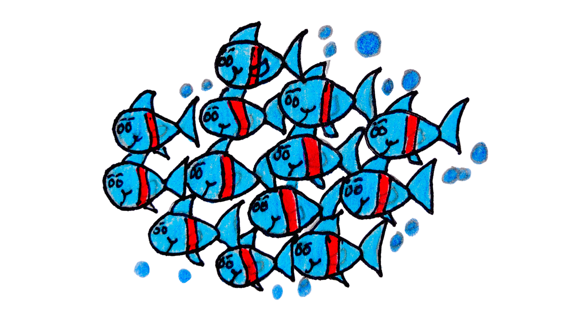 School of fish in the children's story, The Very Brave Little Fish.