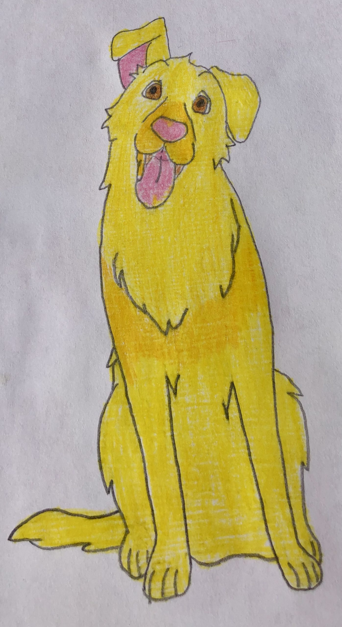 Golden retriever dog, Lucy, with one ear cocked up from the mystery story for kids, The Case of the Missing Puppy.