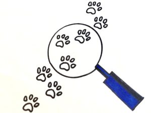 A blue magnifying glass on some dog tracks for the mystery story for kids.