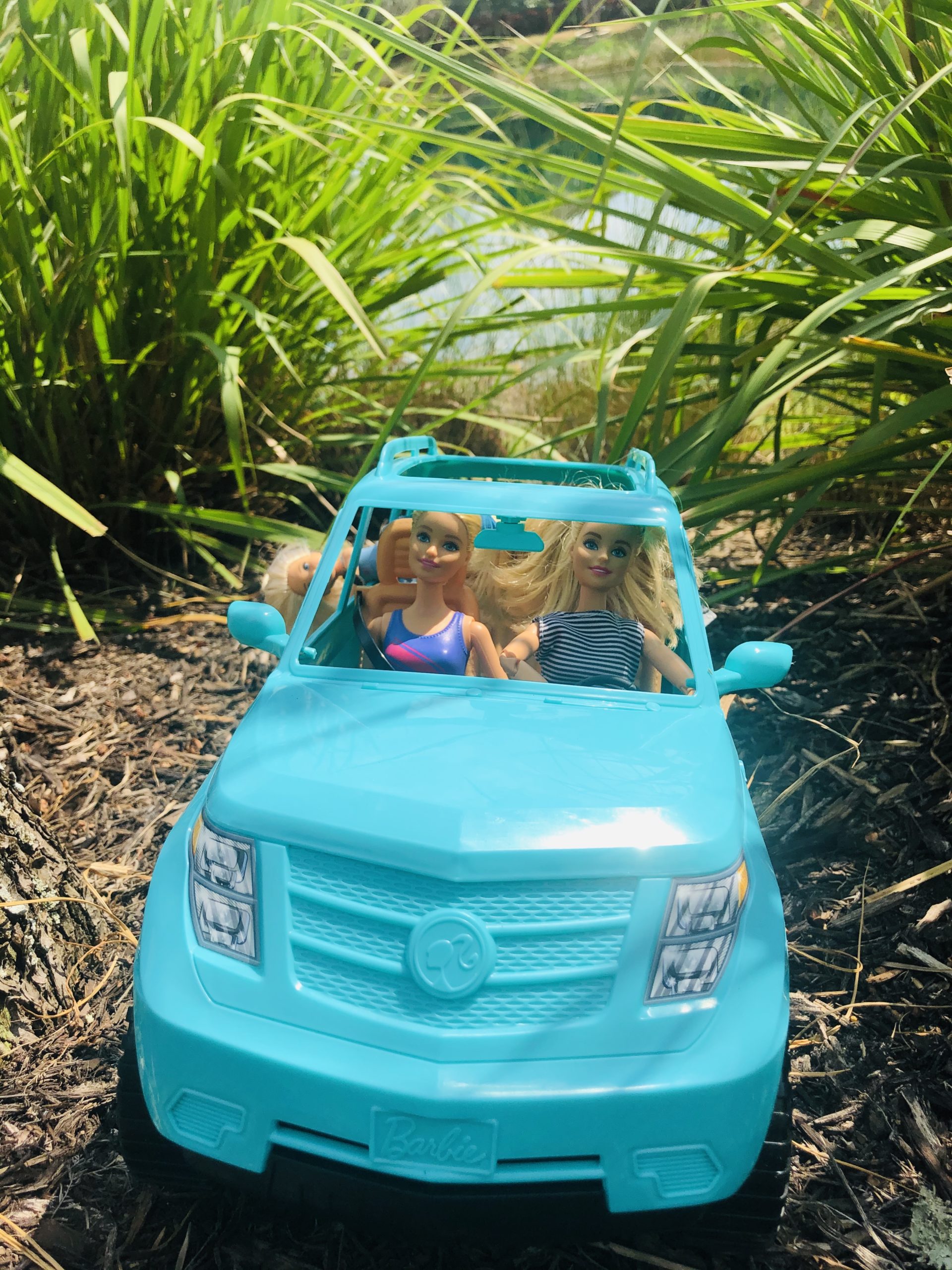 Teal Barbie Jeep with 2 Barbie dolls and 2 Chelsea Dolls in it. Background is a jungle. 