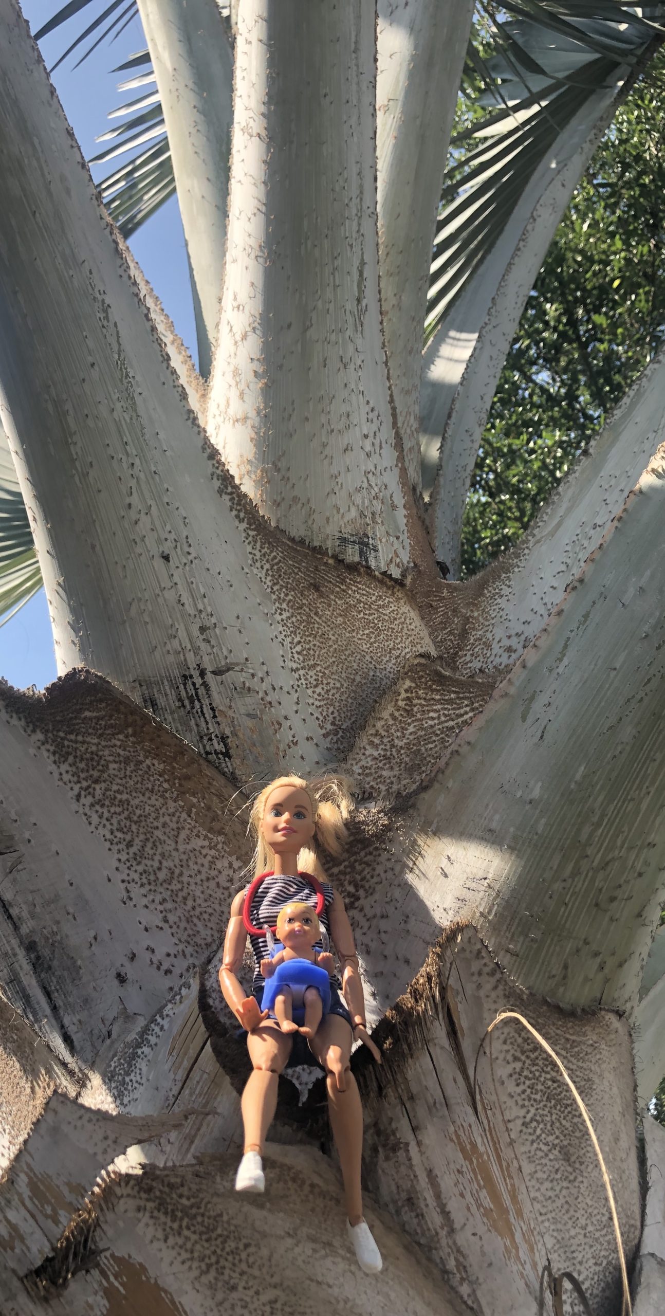 Barbie and a baby in a huge tree for the Barbie children's story.