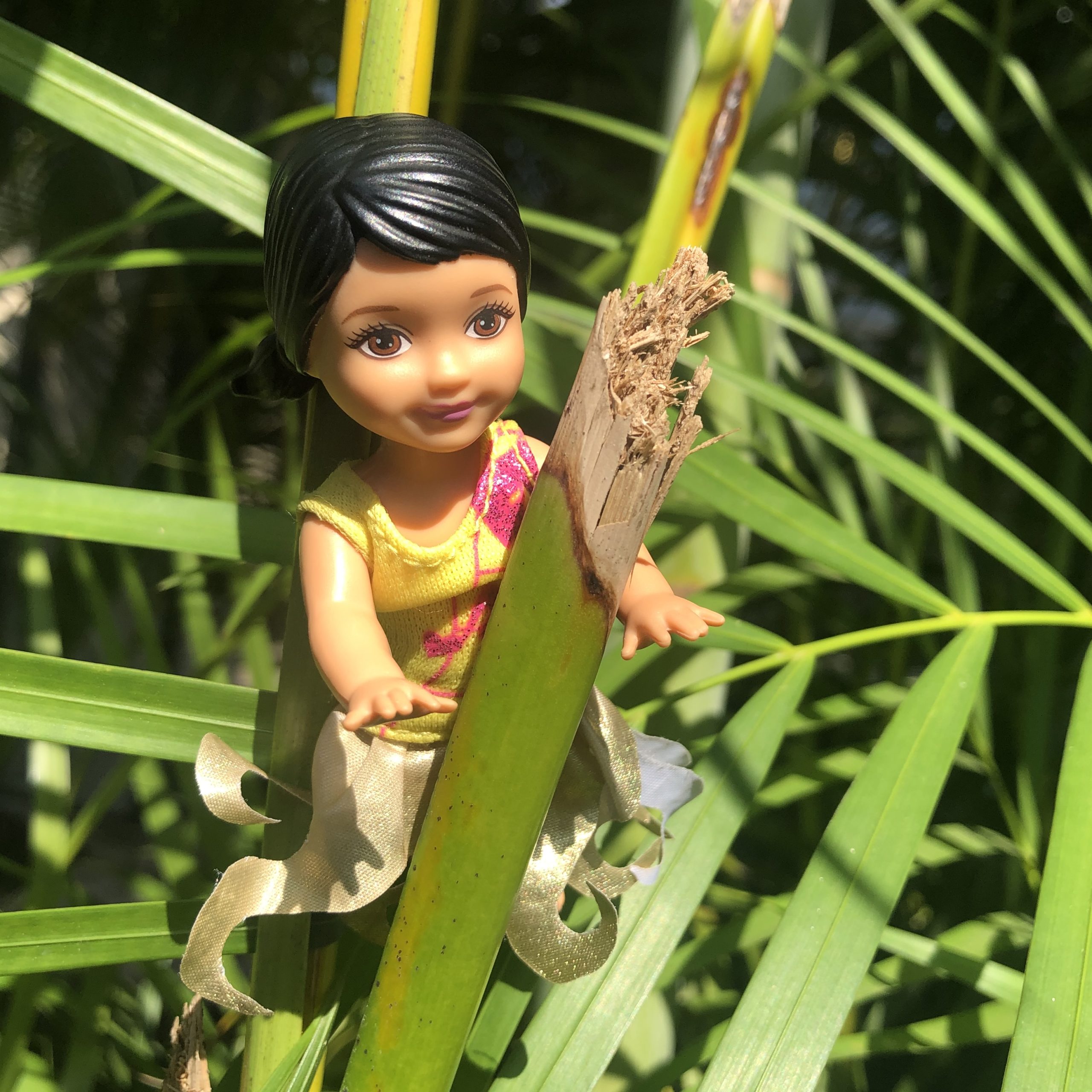 A dark haired Barbie baby in a tree for the Barbie Story for Kids, Hiking in Costa Rica.