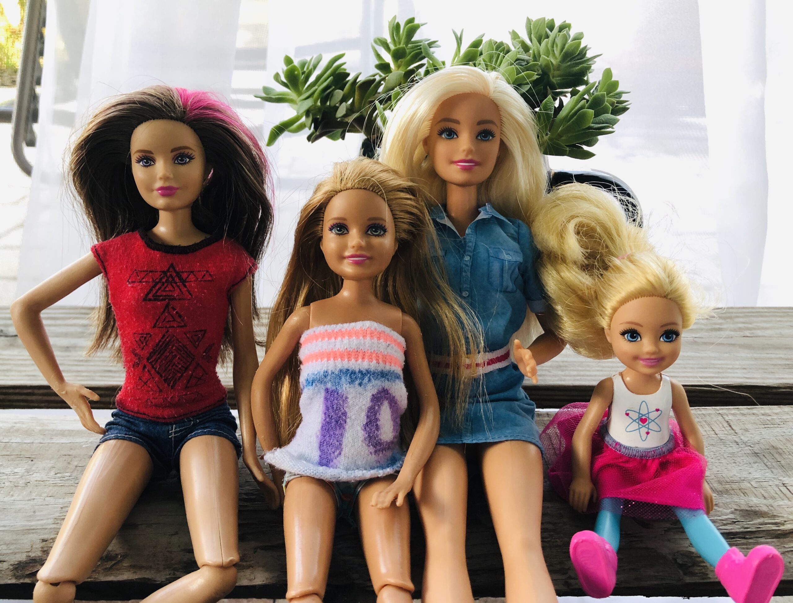 Picture of 4 Barbies, the Roberts Family, for the Barbie Life Story.