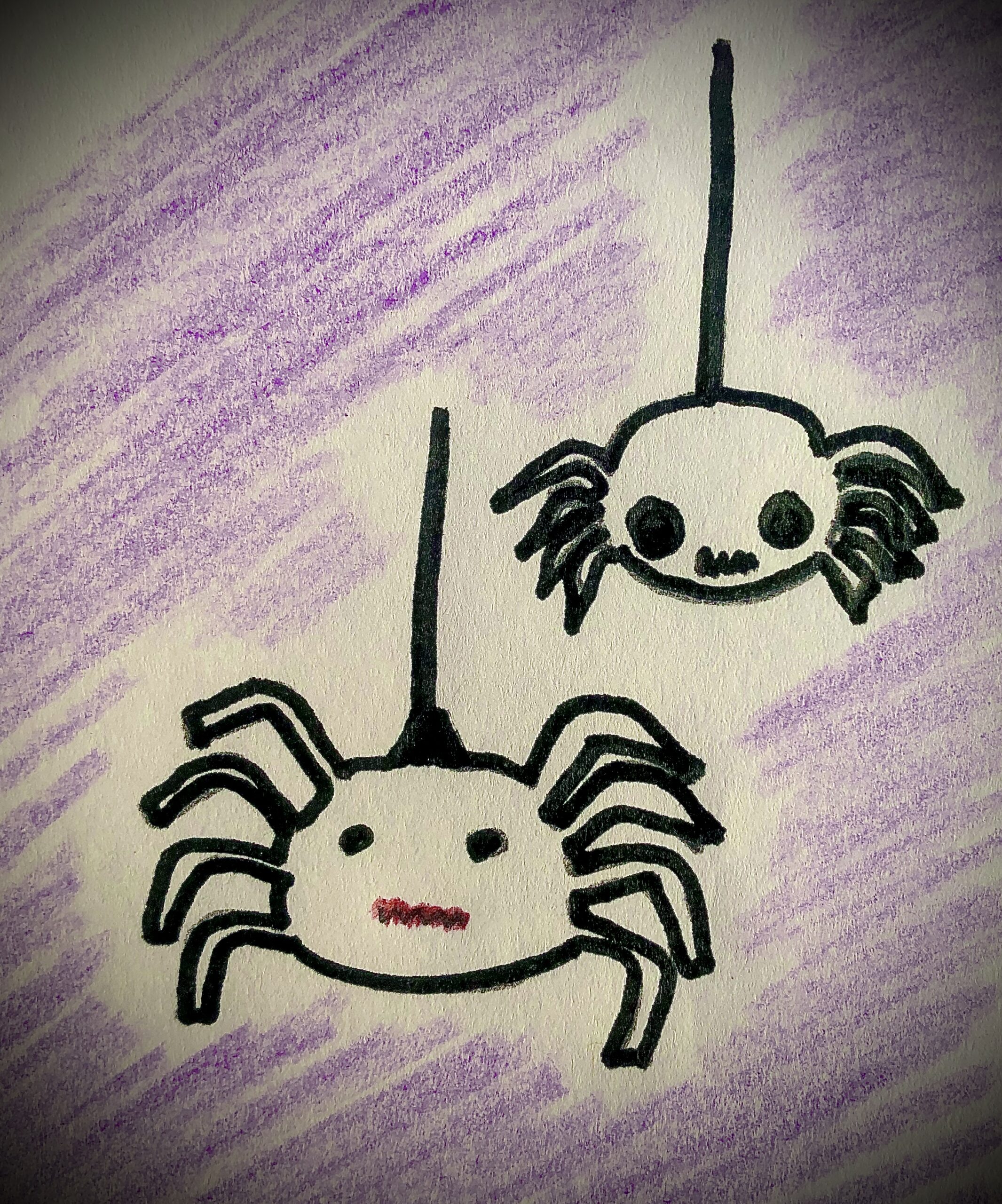 Drawing of 2 black spiders, with a purple background for the detective story.