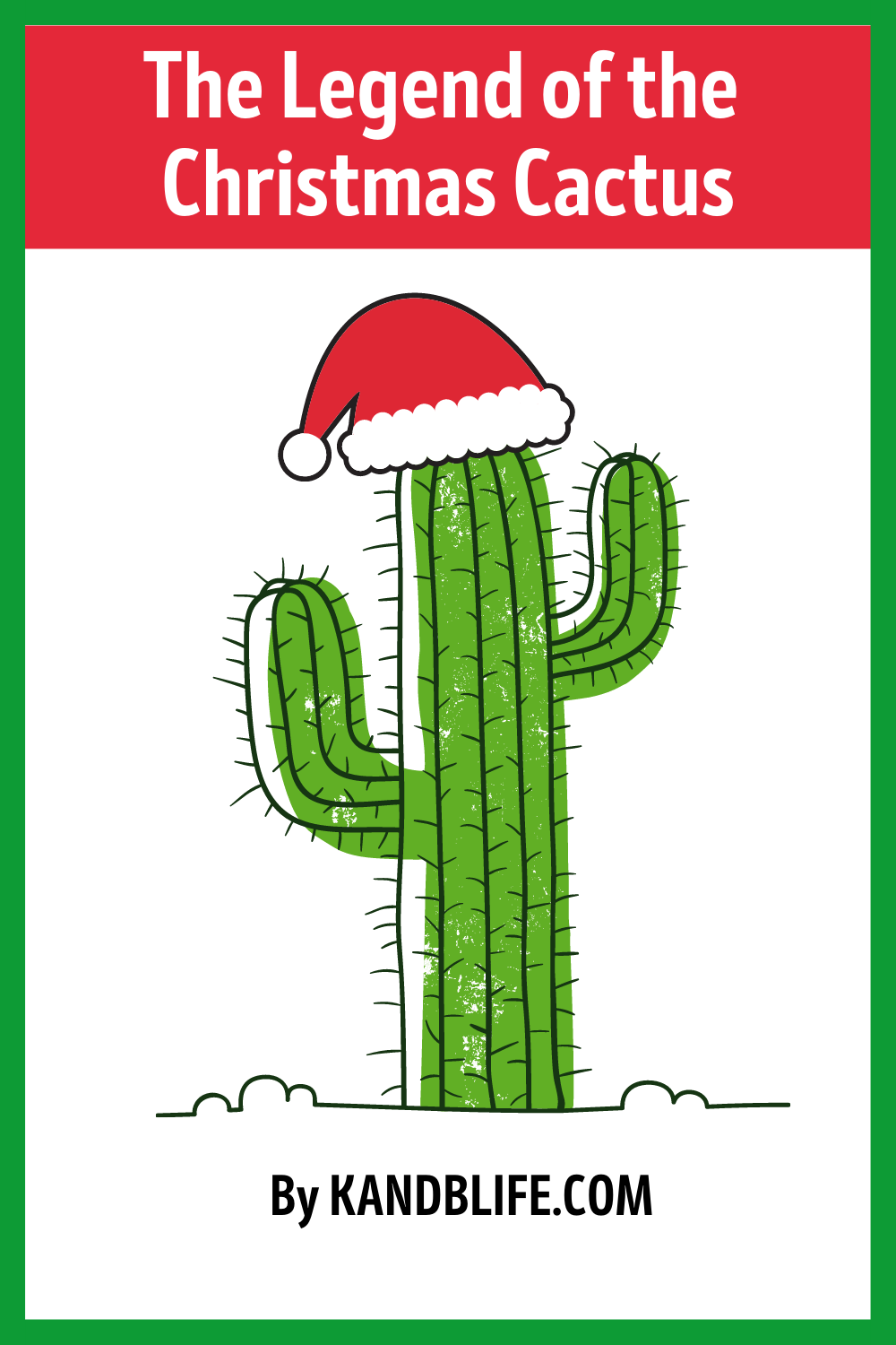 A cactus with a Santa hat for the Christmas story, The Legend of the Christmas Cactus.