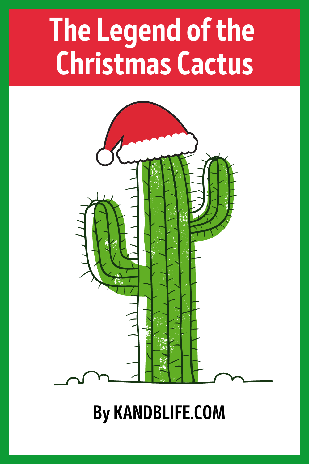 A Christmas Story | The Christmas Cactus - K and B Life