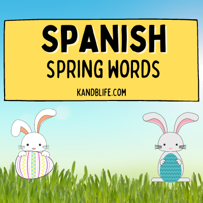 2 bunnies income grass with a sign, "Spanish Spring Words". By K and B Life